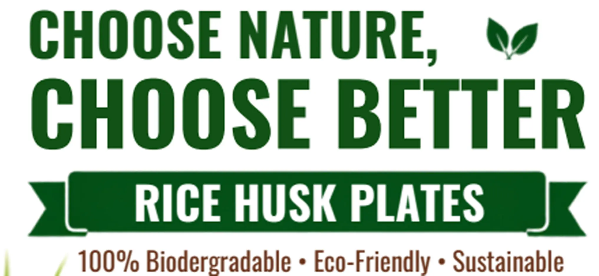 Choose Nature, Choose Better — Rice Husk Plates